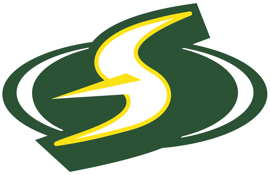 Seattle Storm 2016-Pres Alternate Logo vinyl decal